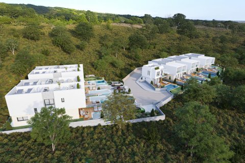 Вилла с 3 спальнями в Пафос, Кипр №78587 10