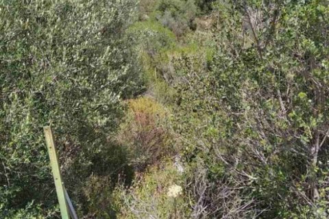 11688m² Land in Chalkidiki, Greece No. 55244 6