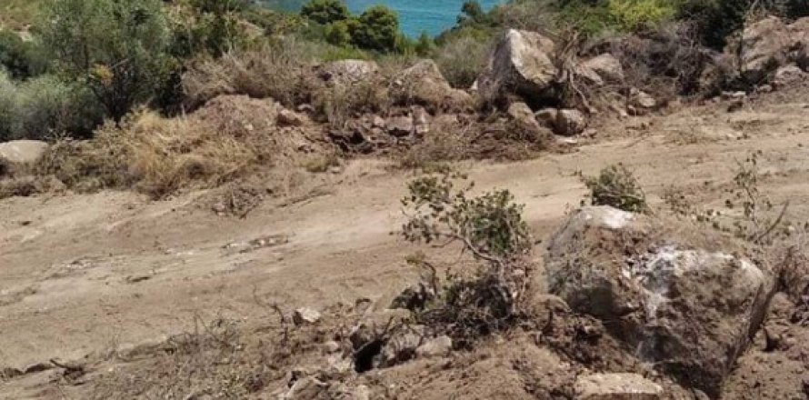 11688m² Land in Chalkidiki, Greece No. 55244