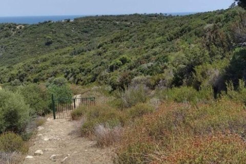 11688m² Land in Chalkidiki, Greece No. 55244 4