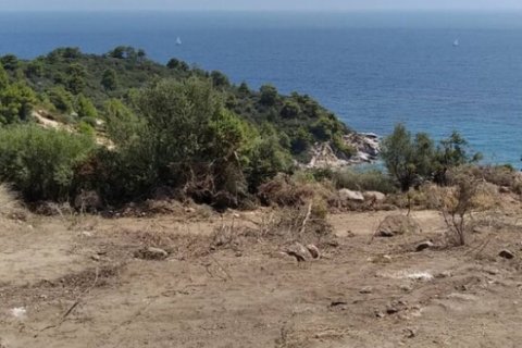 11688m² Land in Chalkidiki, Greece No. 55244 7
