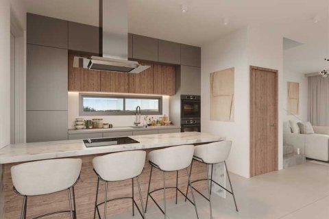 3 chambres Villa à Empa, Cyprus No. 79054 4