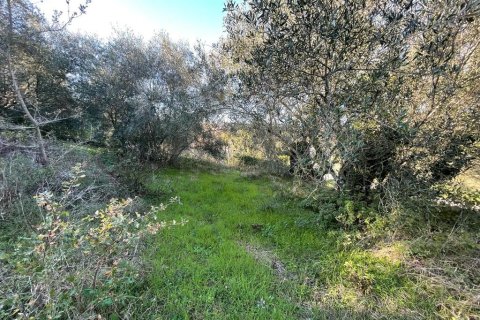 14529m² Land à Corfu, Greece No. 54935 10