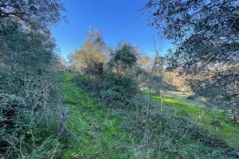 14529m² Land à Corfu, Greece No. 54935 14