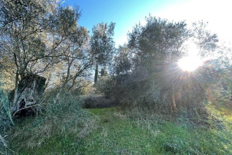 14529m² Land à Corfu, Greece No. 54935 11