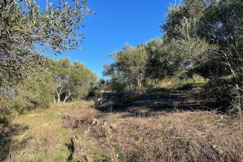 14529m² Land à Corfu, Greece No. 54935 28