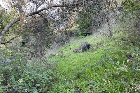 14529m² Land à Corfu, Greece No. 54935 15