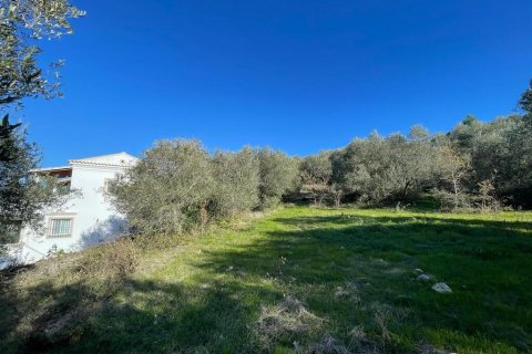 14529m² Land à Corfu, Greece No. 54935 3