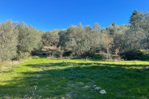 14529m² Land à Corfu, Greece No. 54935 26