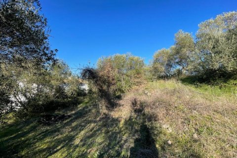 14529m² Land à Corfu, Greece No. 54935 5