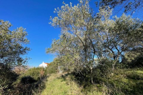 14529m² Land à Corfu, Greece No. 54935 25