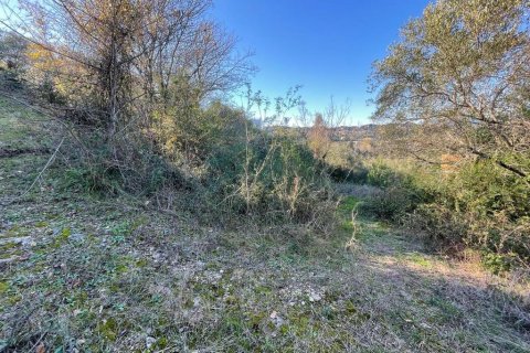 14529m² Land à Corfu, Greece No. 54935 23