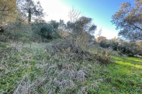 14529m² Land à Corfu, Greece No. 54935 13