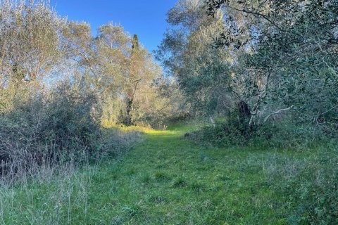 14529m² Land à Corfu, Greece No. 54935 18