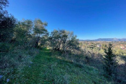 14529m² Land à Corfu, Greece No. 54935 20