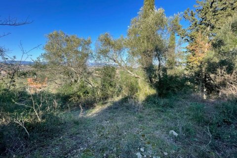 14529m² Land à Corfu, Greece No. 54935 22