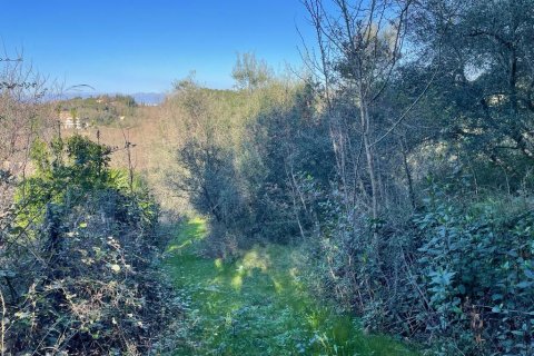 14529m² Land à Corfu, Greece No. 54935 17