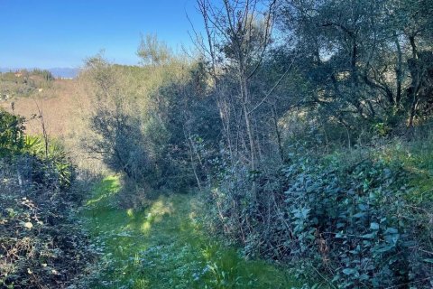 14529m² Land à Corfu, Greece No. 54935 16