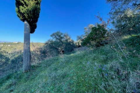 14529m² Land à Corfu, Greece No. 54935 21
