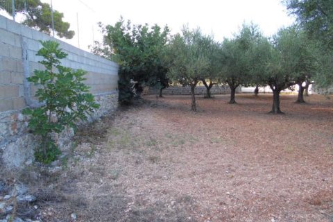 3 bedrooms House in Zakynthos, Greece No. 24616 7