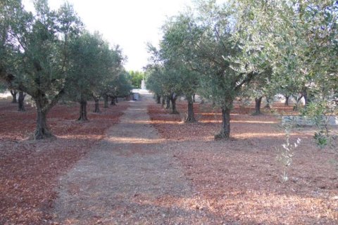 3 bedrooms House in Zakynthos, Greece No. 24616 9