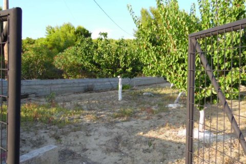 3 bedrooms House in Zakynthos, Greece No. 24616 12