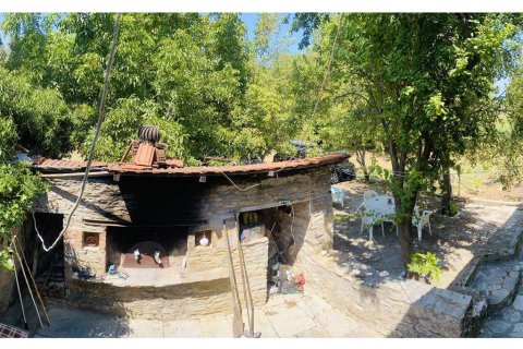 2 bedrooms House in Argalasti, Greece No. 108397 10