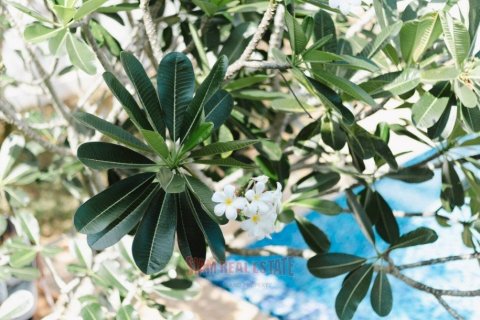 2 bedrooms Villa in Ao Nang, Thailand No. 97367 19