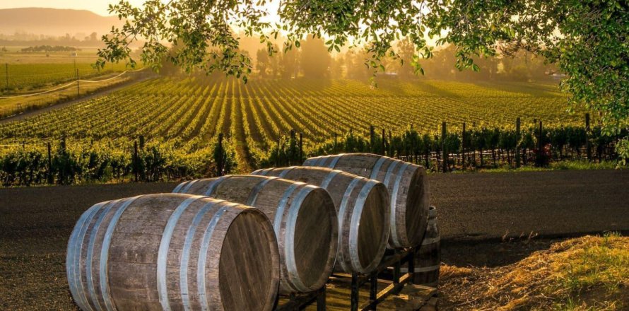 Коммерческая недвижимость с 6 спальнями в Quynh Tan, Вьетнам №25154