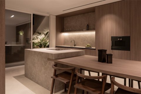 2 bedrooms Penthouse in Dinh An, Vietnam No. 27366 27