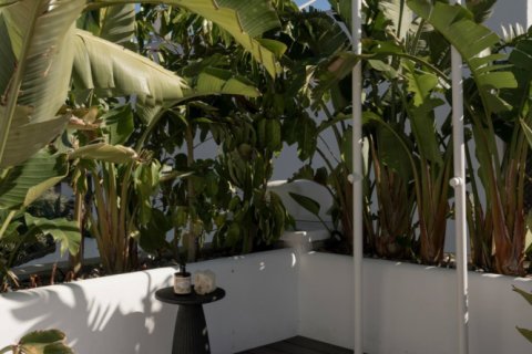 2 bedrooms Penthouse in Dinh An, Vietnam No. 27366 8