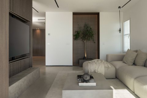 2 bedrooms Penthouse in Dinh An, Vietnam No. 27366 20