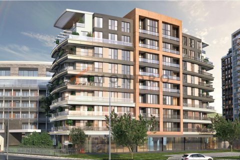 3 dormitorios Apartment en Bach Long Vi, Vietnam No. 17799 21