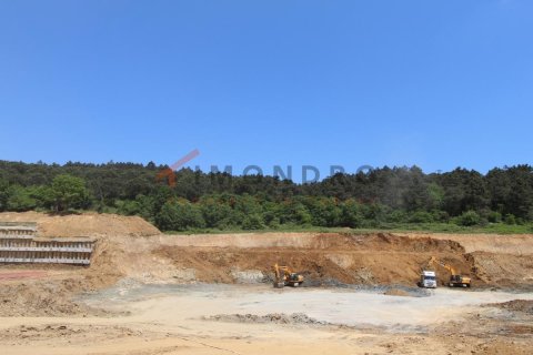 3 dormitorios Apartment en Bach Long Vi, Vietnam No. 17799 13