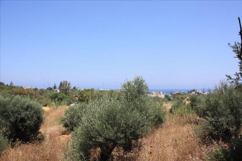 6340m² Land in Chania, Greece No. 58018 2