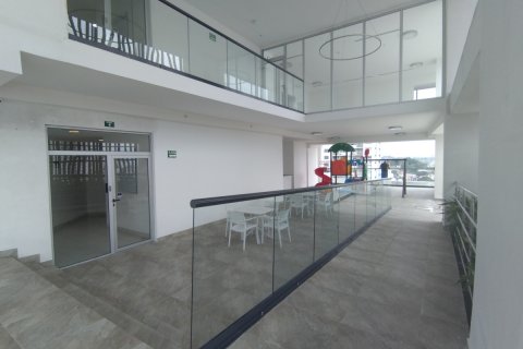 3 bedrooms Apartment in Panama City, Panama No. 110297 16