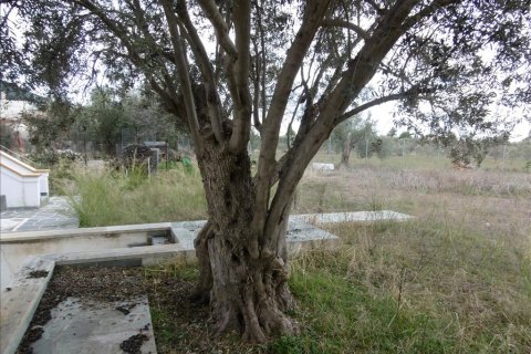 Дом с 6 спальнями в Эвбея, Греция №58896 30