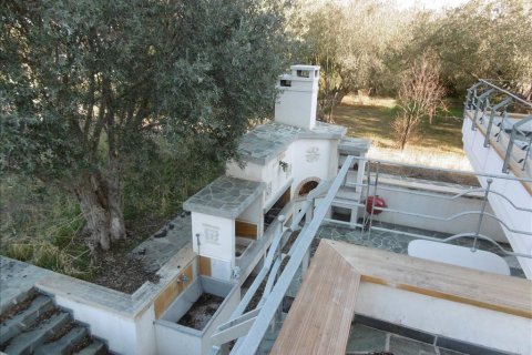 Дом с 6 спальнями в Эвбея, Греция №58896 17