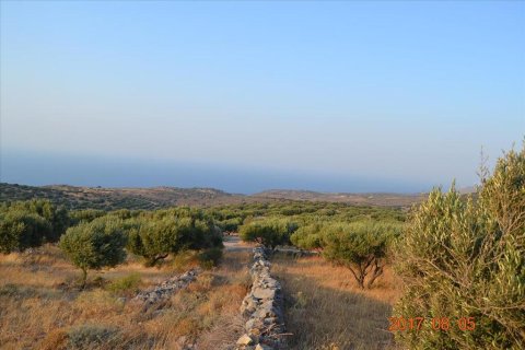 15570m² Land in Agios Nikolaos, Greece No. 108121 1