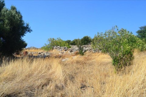15570m² Land in Agios Nikolaos, Greece No. 108121 2