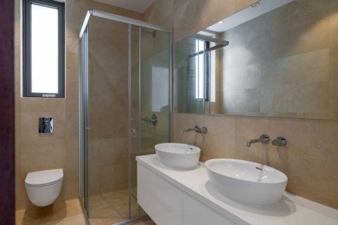 5 bedrooms House in Pegeia, Cyprus No. 66129 16