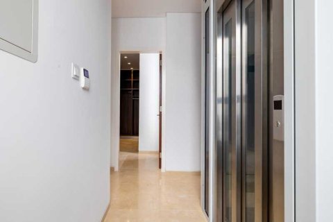 5 bedrooms House in Pegeia, Cyprus No. 66129 13