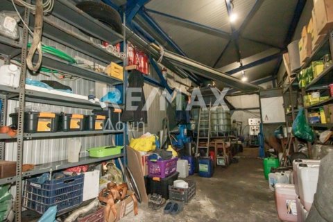 Здание с 2 спальнями в Магнисия, Греция №104638 17