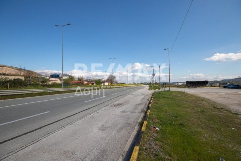 Здание с 2 спальнями в Магнисия, Греция №104638 21