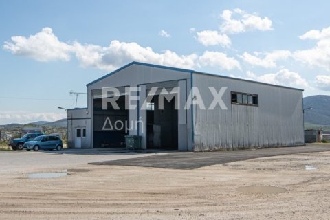 Здание с 2 спальнями в Магнисия, Греция №104638 3