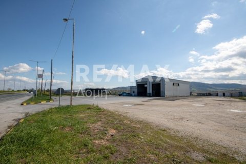 Здание с 2 спальнями в Магнисия, Греция №104638 23