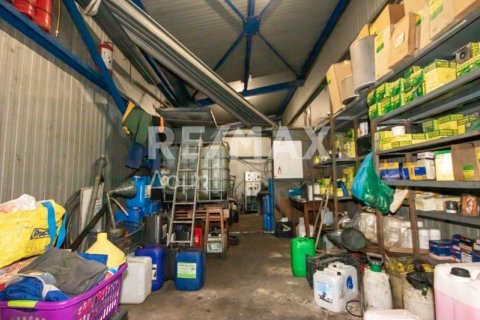 Здание с 2 спальнями в Магнисия, Греция №104638 20