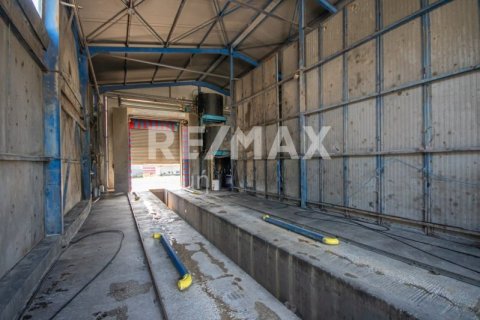 Здание с 2 спальнями в Магнисия, Греция №104638 11