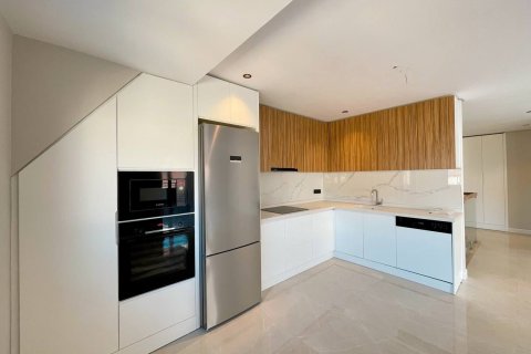 3 chambres Penthouse à Chau Lang, Vietnam No. 16612 7