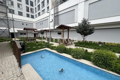 3 bedrooms Apartment in Phu An, Vietnam No. 88498 5